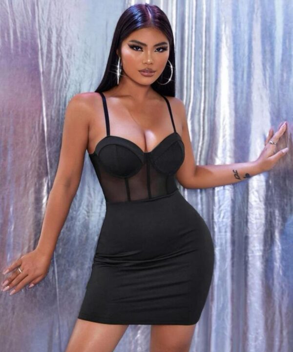 Contrast Mesh Bodycon Dress